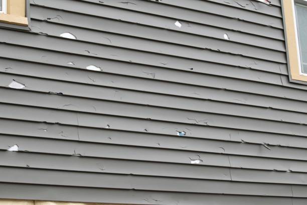 Best Residential Vinyl Siding Installation  in Carlisle Rockledge, AL