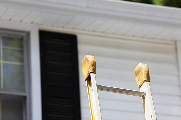Best Residential Vinyl Siding Installation  in Carlisle Rockledge, AL